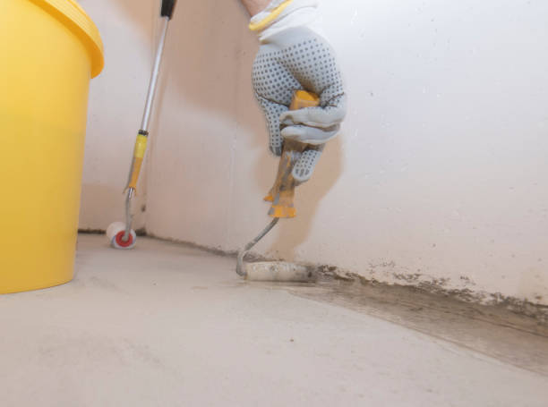 Best Termite Inspection and Treatment  in Winfield, KS